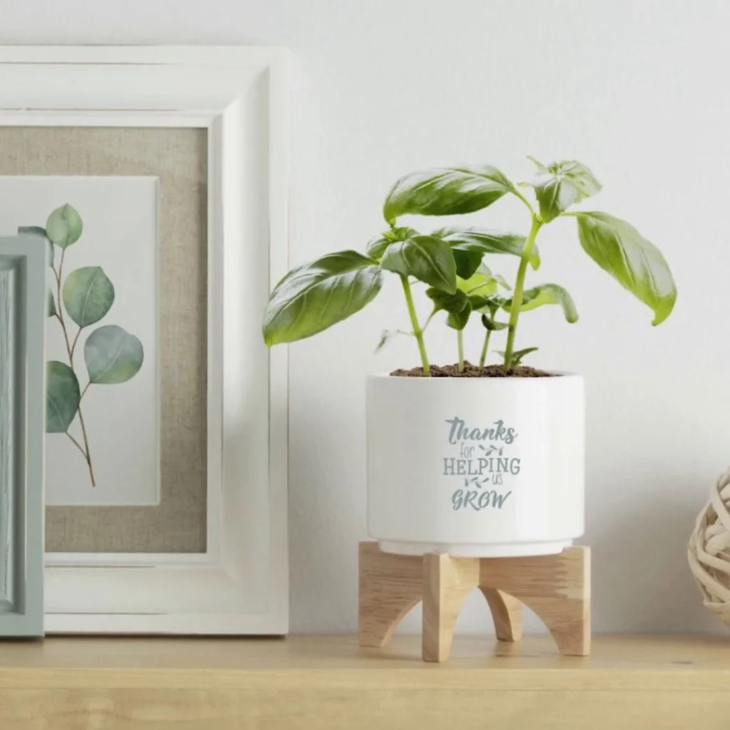 High‑Impact Merch Ideas for Sustainability, Well-being, and Safer Workplaces