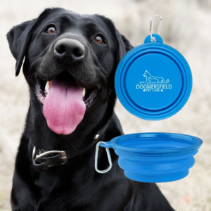 Black dog with blue collapsible travel water bowl and clip showing pet-friendly promotional product for outdoor events